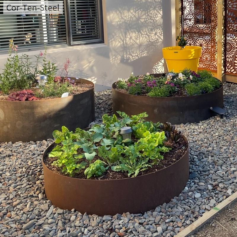 full corten tree rings