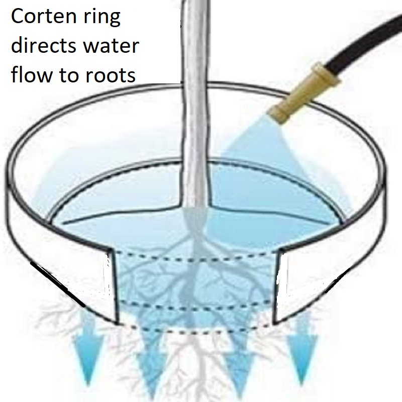 corten water-ring demonstration